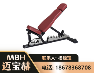 恩施可调哑铃椅